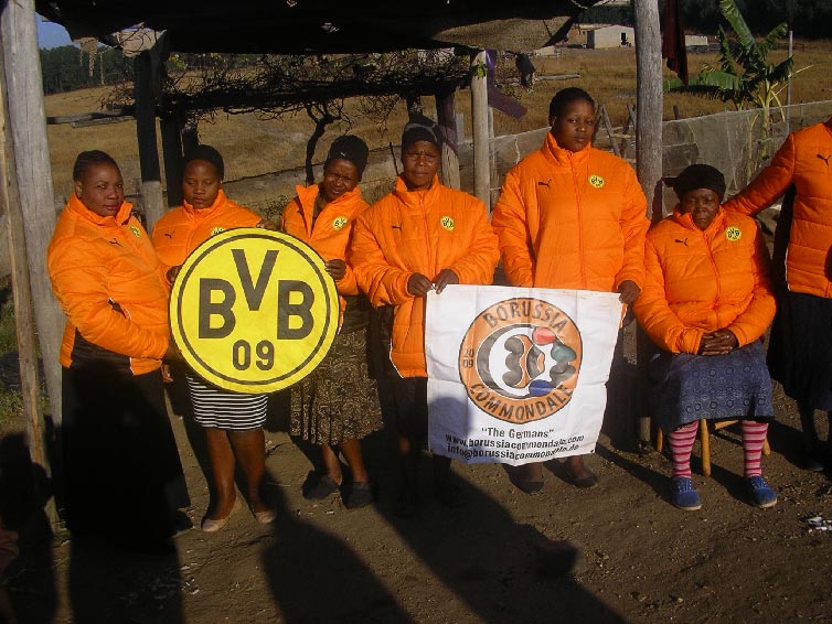 BVB Volunteerkleidung
